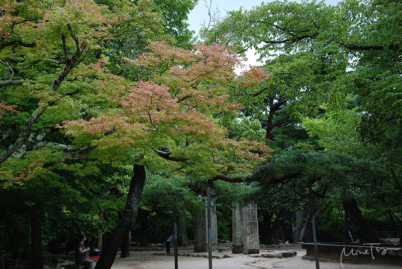 58 (12).jpg 58 (12).jpg