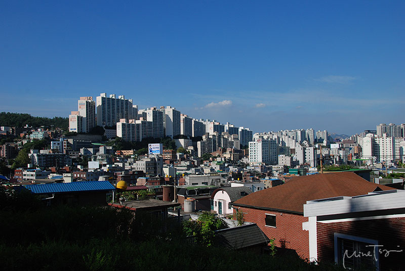 01 (20).jpg 01 (20).jpg