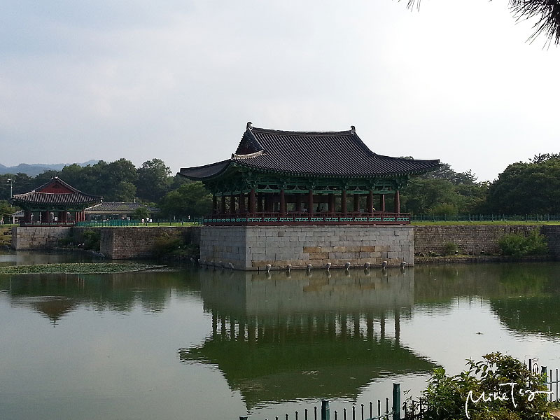 02 (11).jpg 02 (11).jpg