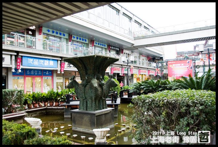 DSC_0006.jpg DSC_0006.jpg