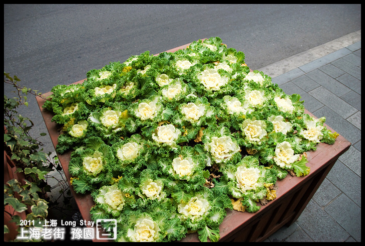 DSC_0038.jpg DSC_0038.jpg