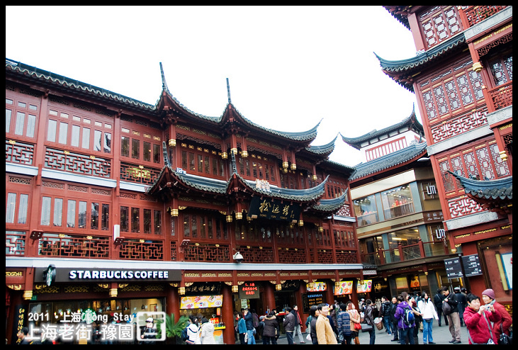 DSC_0172.jpg DSC_0172.jpg