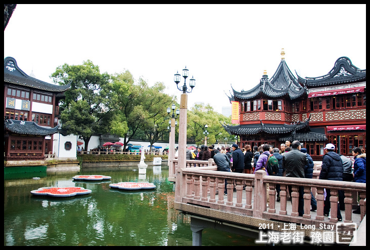 DSC_0181.jpg DSC_0181.jpg