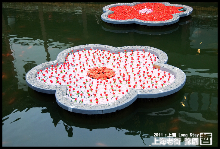 DSC_0191.jpg DSC_0191.jpg