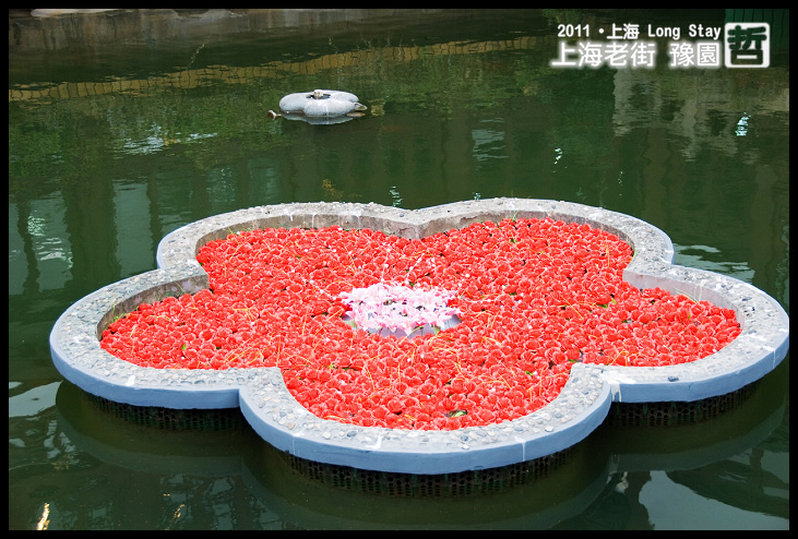 DSC_0196.jpg DSC_0196.jpg