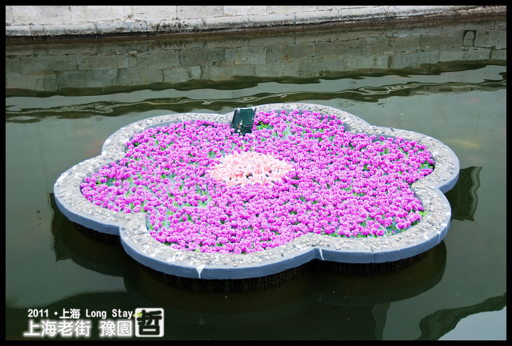 DSC_0199.jpg DSC_0199.jpg