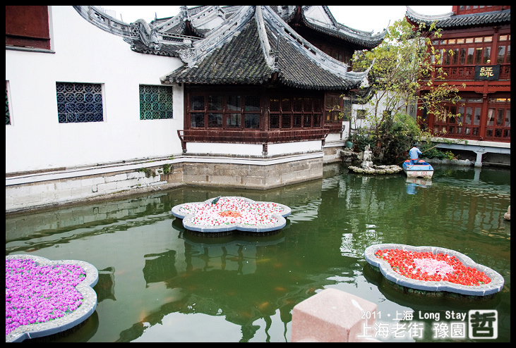 DSC_0205.jpg DSC_0205.jpg