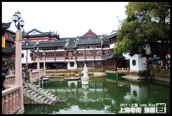 DSC_0207.jpg DSC_0207.jpg