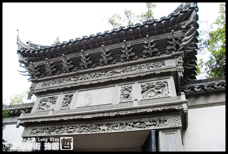 DSC_0245.jpg DSC_0245.jpg