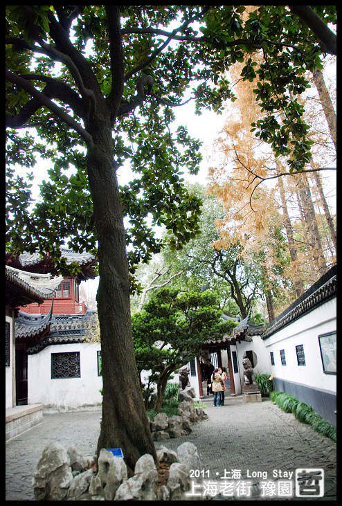 DSC_0251.jpg DSC_0251.jpg