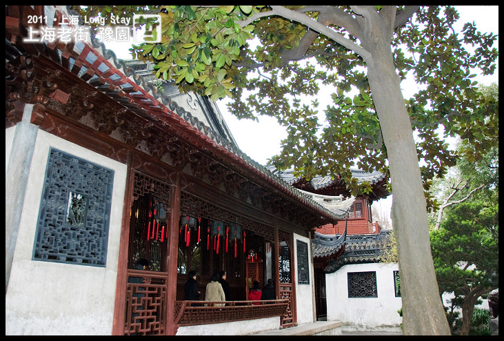 DSC_0252.jpg DSC_0252.jpg