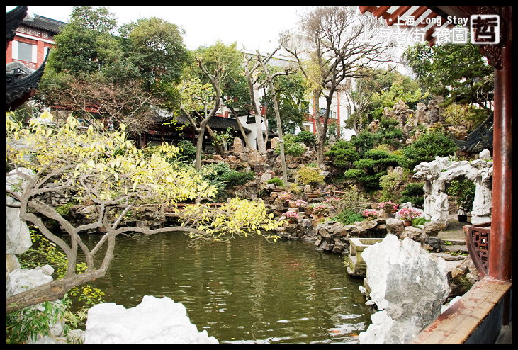 DSC_0256.jpg DSC_0256.jpg