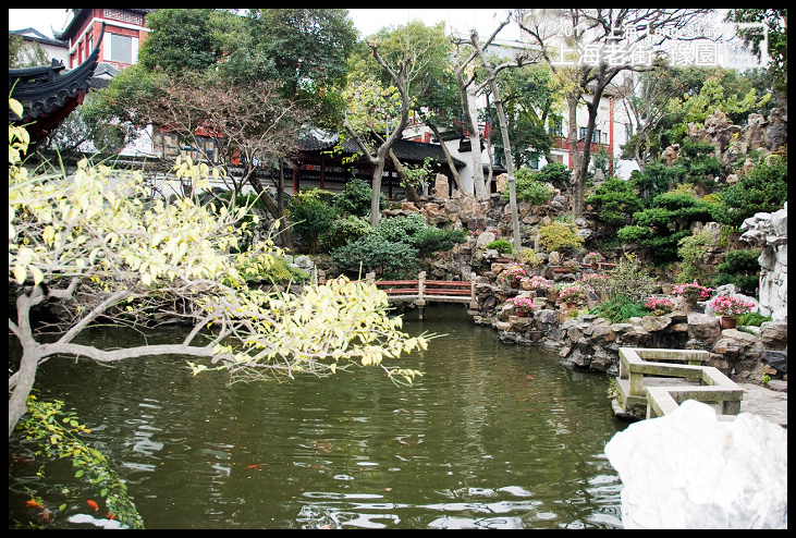 DSC_0258.jpg DSC_0258.jpg