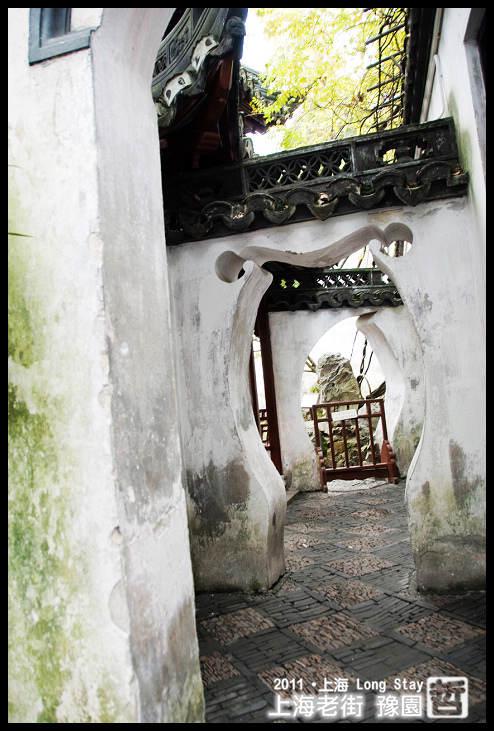 DSC_0262.jpg DSC_0262.jpg