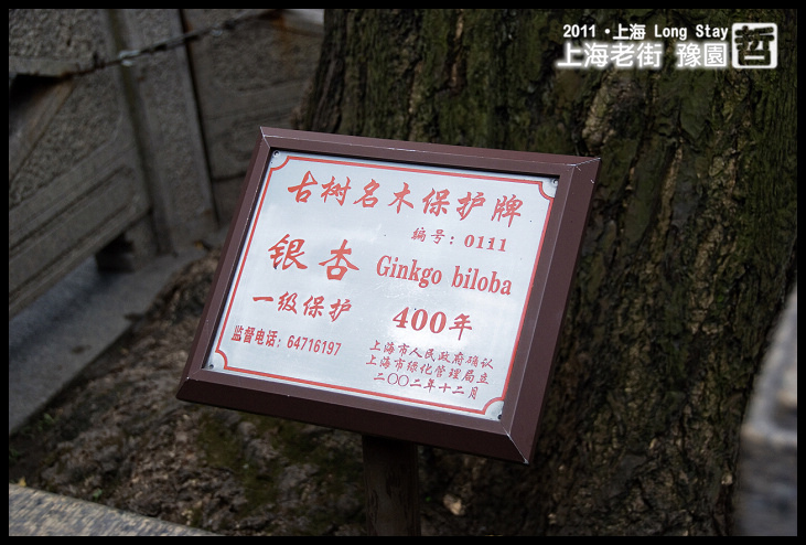 DSC_0273.jpg DSC_0273.jpg