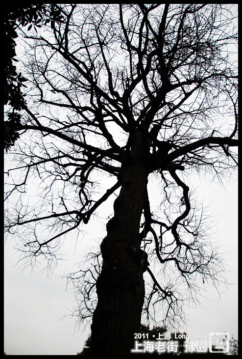 DSC_0271.jpg DSC_0271.jpg