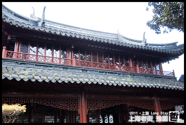 DSC_0275.jpg DSC_0275.jpg