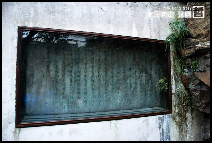 DSC_0295.jpg DSC_0295.jpg