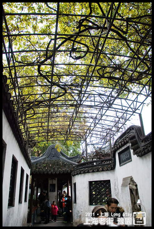 DSC_0302.jpg DSC_0302.jpg