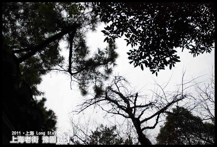 DSC_0307.jpg DSC_0307.jpg