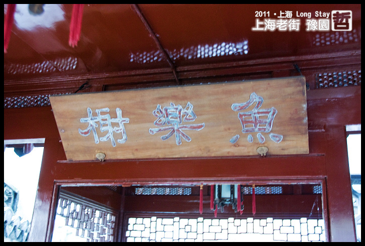 DSC_0321.jpg DSC_0321.jpg