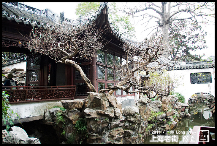 DSC_0323.jpg DSC_0323.jpg