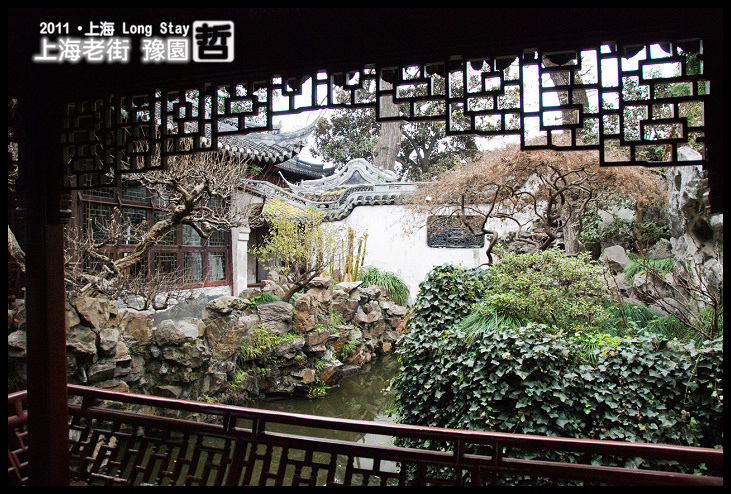 DSC_0335.jpg DSC_0335.jpg