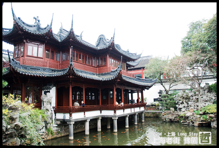 DSC_0340.jpg DSC_0340.jpg