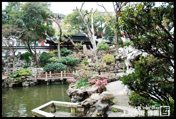 DSC_0341.jpg DSC_0341.jpg