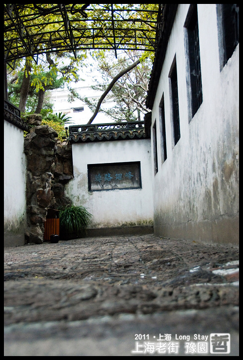 DSC_0350.jpg DSC_0350.jpg