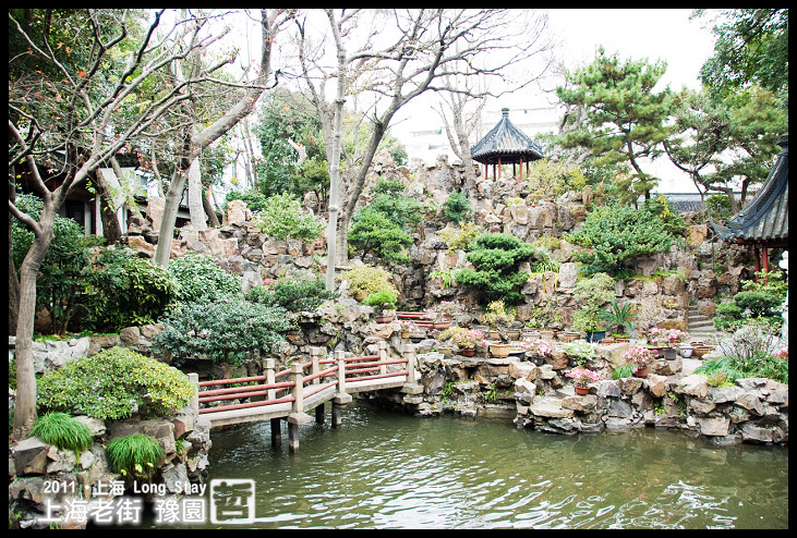 DSC_0363.jpg DSC_0363.jpg