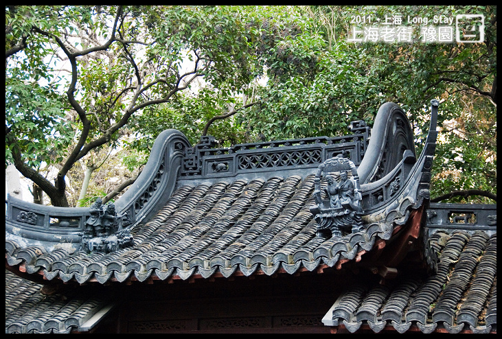 DSC_0367.jpg DSC_0367.jpg