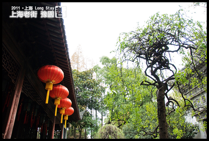 DSC_0379.jpg DSC_0379.jpg