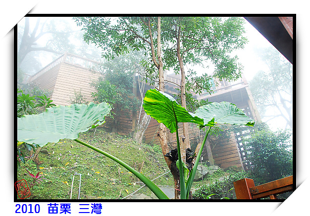 2010 聯誼會in三灣