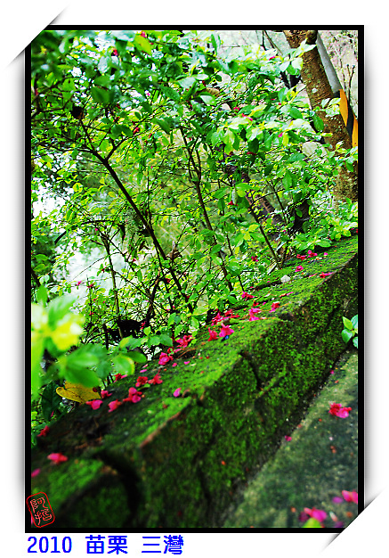 2010 聯誼會in三灣