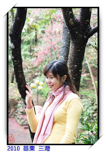 2010 聯誼會in三灣