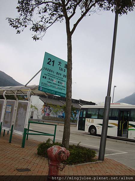 DSC07541.JPG DSC07541.JPG