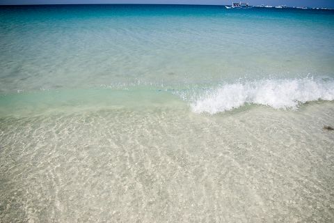 IMGP9330.jpg IMGP9330.jpg