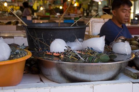 IMGP9349.jpg IMGP9349.jpg