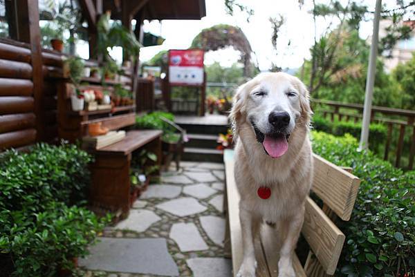 東森-1-14.jpg