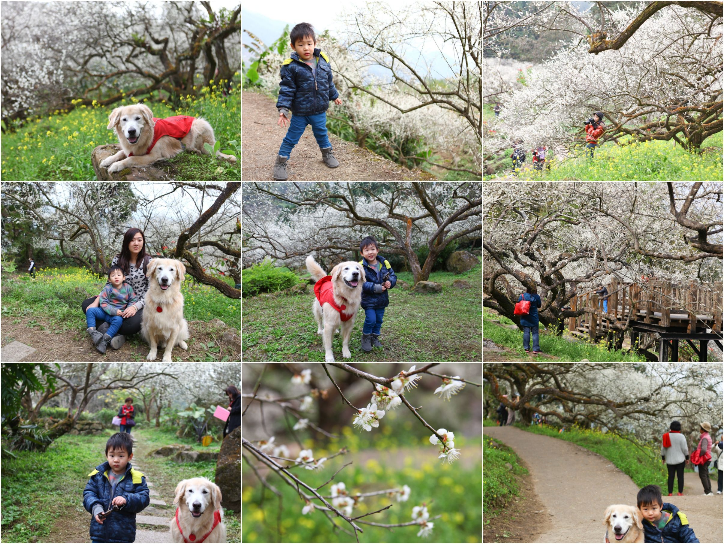 梅花-1-27-checker.jpg 梅花-1-27-checker.jpg