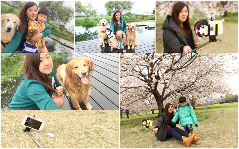 collage collage