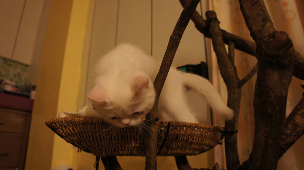 DSC00572.JPG DSC00572.JPG