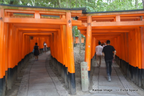 DSC05977.JPG DSC05977.JPG