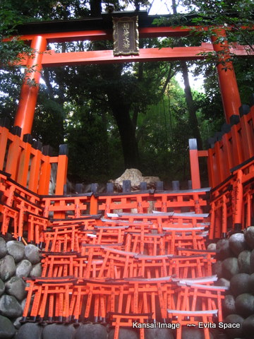 IMG_0127.JPG IMG_0127.JPG