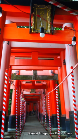 P1150513.JPG P1150513.JPG