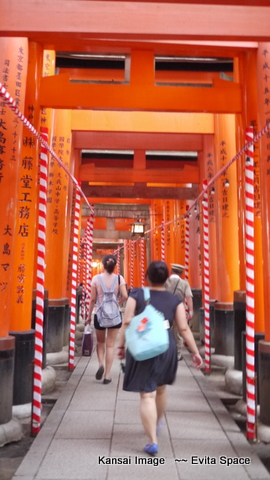 P1150539.JPG P1150539.JPG