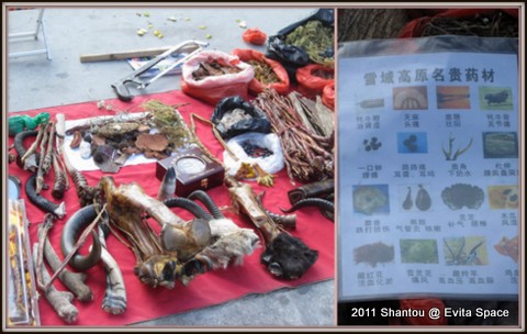 中山公園3.jpg 中山公園3.jpg