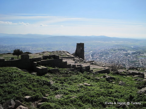 IMG_4826.JPG IMG_4826.JPG