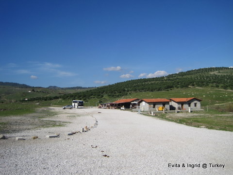 IMG_4799.JPG IMG_4799.JPG